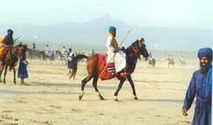 A Nihung Sikh on horseback with a spear - Photo by Guru Jaswant Kaur