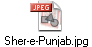 Sher-e-Punjab.jpg
