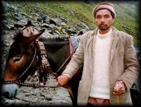 A Bhotia Ghora Wallah with his Mule