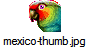 mexico-thumb.jpg
