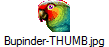 Bupinder-THUMB.jpg