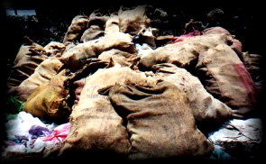 Sacks of Collected Garbage