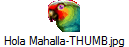 Hola Mahalla-THUMB.jpg