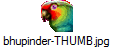 bhupinder-THUMB.jpg