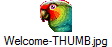 Welcome-THUMB.jpg